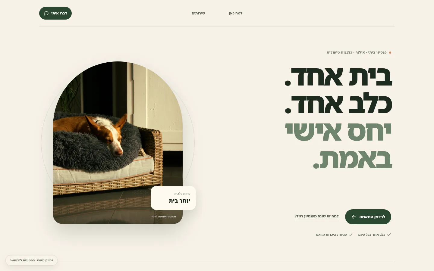 קונספט לפנסיון בוטיק לכלבים — מסך ראשון בגרסת המחשב