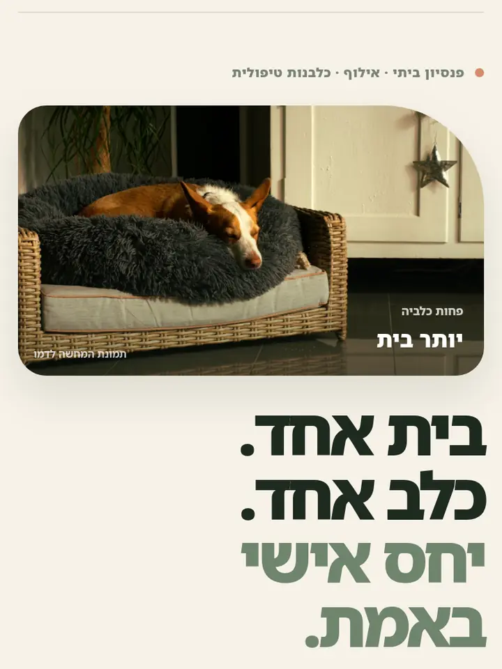 קונספט לפנסיון בוטיק לכלבים — פנסיון ביתי